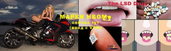 стаф Алексин