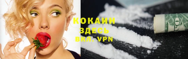 шишки Абинск