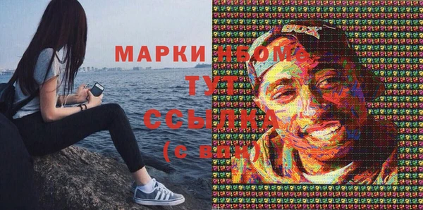 шишки Абинск
