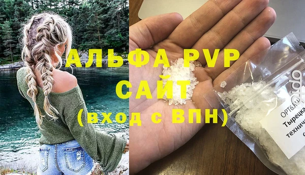 стаф Алексин