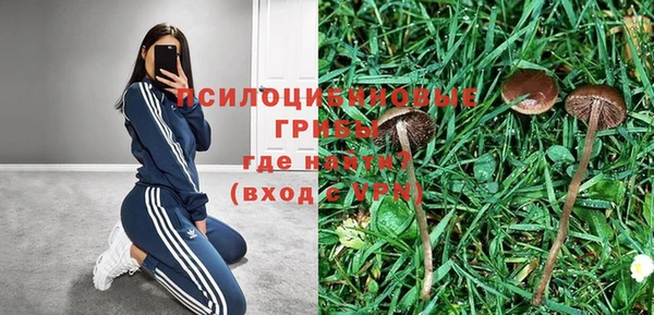 MESCALINE Алзамай