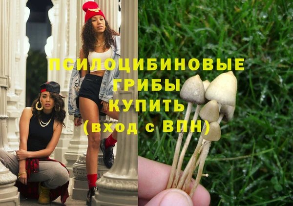 шишки Абинск